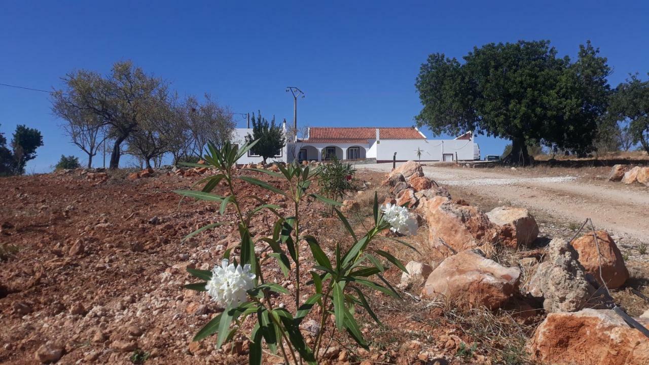 阿尔布费拉Quinta Catarina别墅 外观 照片